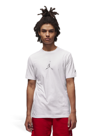 Jordan Graphic T-Shirt FD7029-100