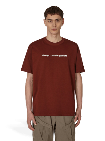 Nike ACG Glacier T-Shirt DV9625-217
