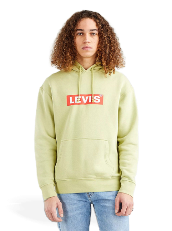 Levi's Relaxed Graphic Hoodie 38821-0119