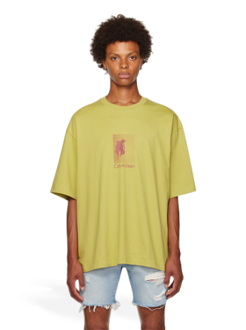 CALVIN KLEIN Graphic T-Shirt 40790ST260