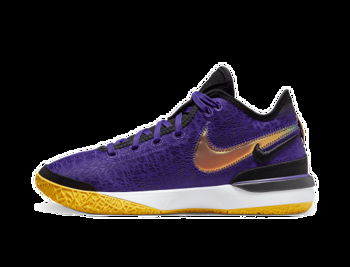 Nike LeBron NXXT Gen DR8784-500