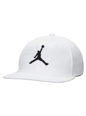 Nike Jordan Pro FD5184-100